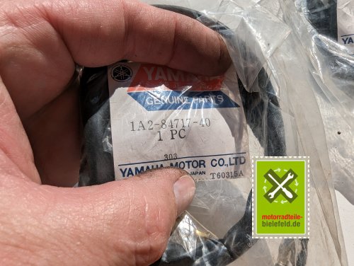 PXL_20240523_152243645